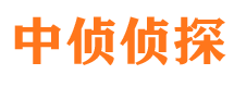 红安寻人公司